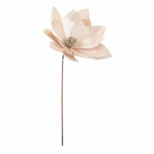 Calipso Champagne Poinsettia 34x50h