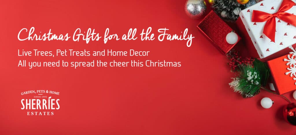 Christmas-banner-2021-01