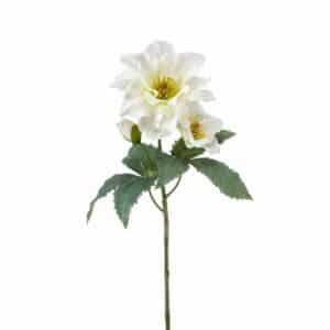 Helleborus spray white 52cm