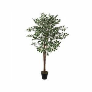 Artificial Ficus in Pot Green Variegated H165cm
