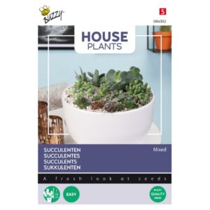 Buzzy® House Plants Mixed Succulents
