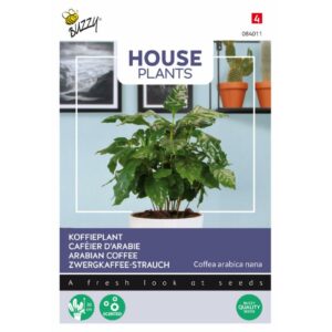Buzzy® House Plants Coffea Arabica, Arabian coffee