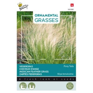Buzzy Ornamental Grass, Mexican Feather Grass Pony Tails