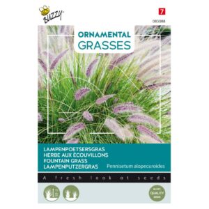 Buzzy® Ornamental Grasses, Fountain Grass