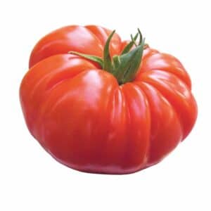 Tomato Buffalo Steak 6 Seedlings