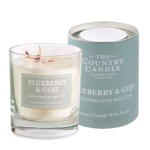 Blueberry & Goji Pastel Glass Candle