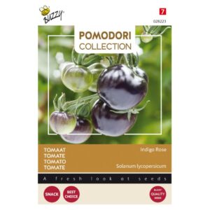 Buzzy® Pomodori, Tomato Indigo Rose (Black)