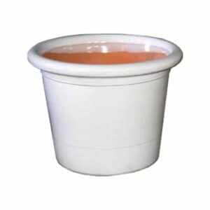 Palmera Pot Blanco (White)