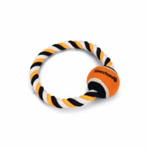 Beeztees Flossytoy Ring+Ball Coby Multi-colour 20cm