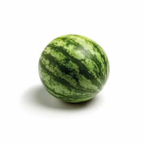 Mini Anguria 6 Seedlings