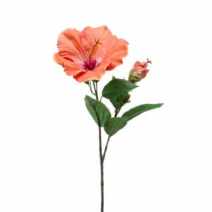 Artificial Hibiscus Spray X2 Orange 65cm