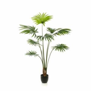Artificial Palm livistona 160cm