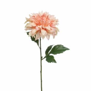 Dahlia spray peach 60cm