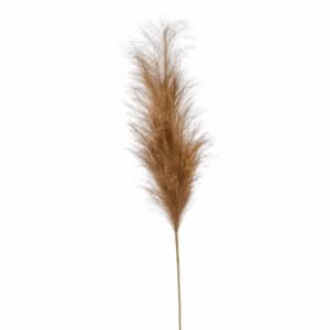 Artificial Pampas stem brown 115cm