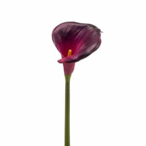 Artificial Calla lily stem burgundy 70cm