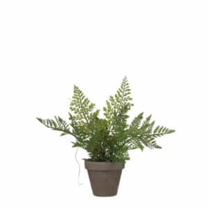 Artificial Fern Green in Pot Stan Grey D9cm