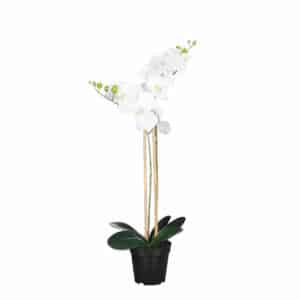 Artificial Phalaenopsis in Pot White H70cm