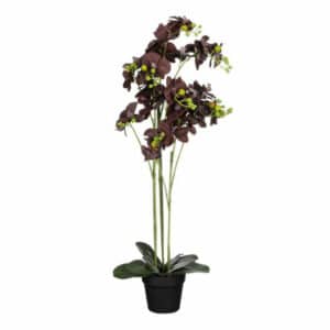Artificial Orchid in Pot Black H90cm