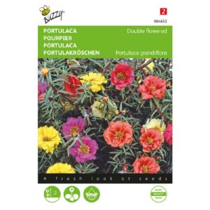 Buzzy® Portulaca double-flowered mixed