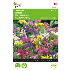 Buzzy® Limonium, Sea lavender Pacific mixed