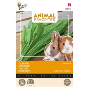 Buzzy® Animal Favorites Chicory for Rabbit and Guinea Pig