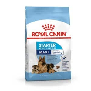 Royal Canin Maxi Starter Mother & Baby 4 Kg