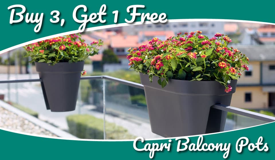 Artevasi 3+1 offer on Capri Balcony Pots