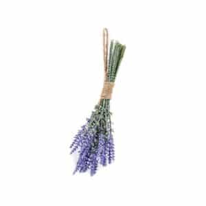 Lavender Bundle Blue 24cm