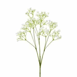 Gypsophilia Spray White 68cm