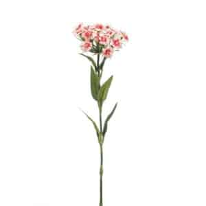 Dianthus Spray Two-Tone Pink 53cm