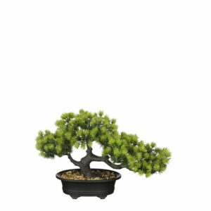 Bonsai in Pot Green