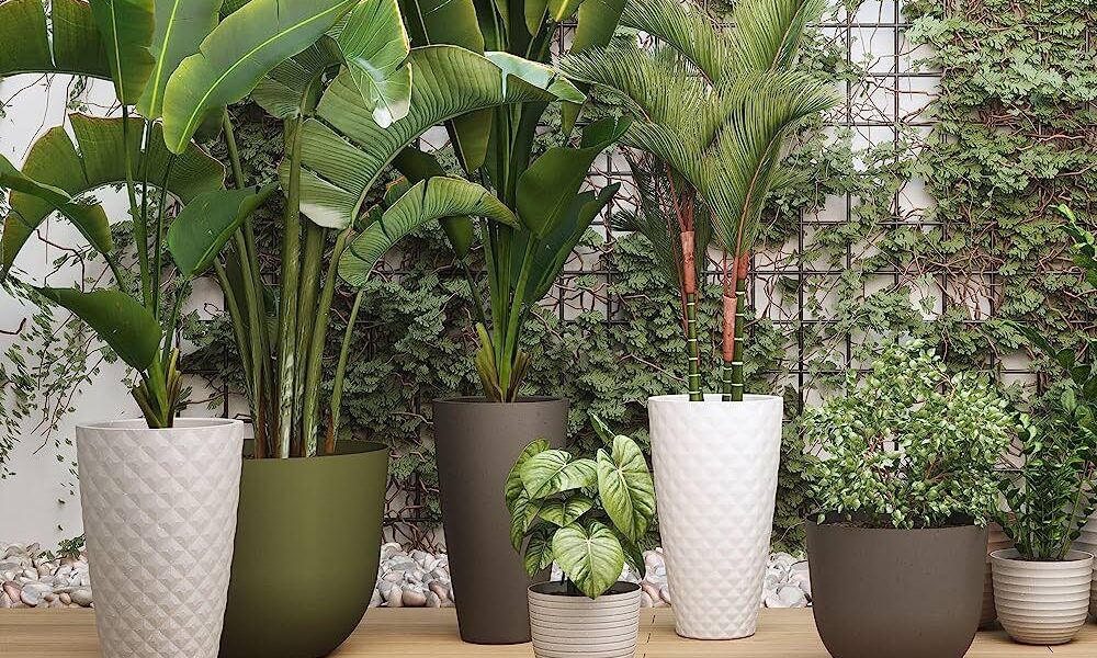 Artevasi Havana Pots