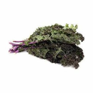 Cavolo Kale Riccio Rosso 6 Seedlings