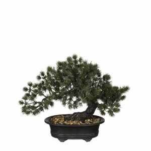 BONSAI IN POT GREEN - L28XW15XH23CM