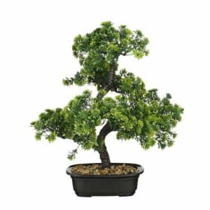 BONSAI IN POT GREEN - L30XW30XH38CM