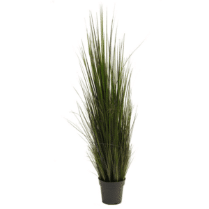 River grass 120cm