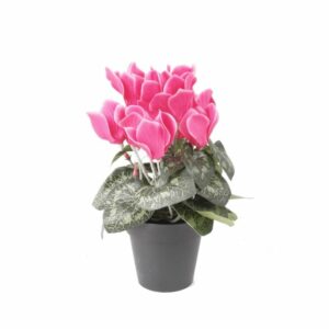 Artificial Cyclamen bush 25cm beauty