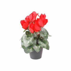 Artificial Cyclamen bush 25cm dep red