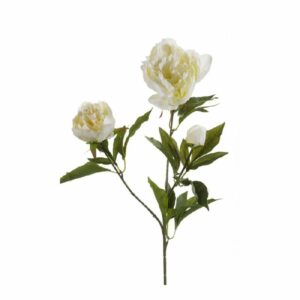 Peony spray x3 70cm cream