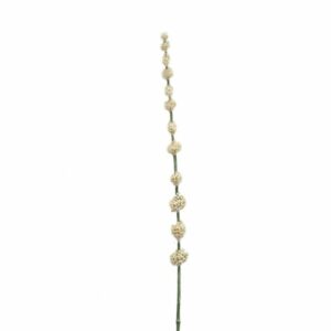 Pom pom spray 70cm cream