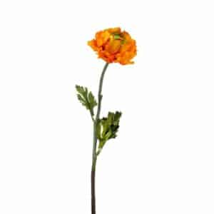 Ranunculus spray orange 50cm