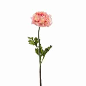 Ranunculus spray pink 50cm