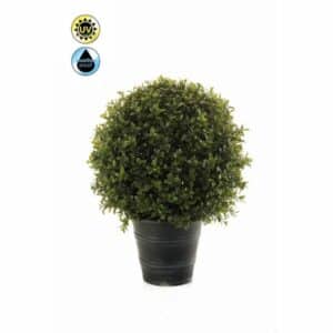 Boxwood ball UV d30cm h42cm in plastic pot