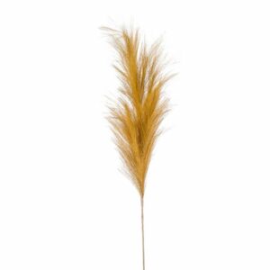 Pampas spray ochre 100cm