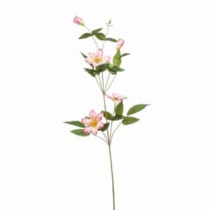 Clematis spray lt pink 82cm