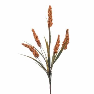 Seed spray x5 orange 60cm