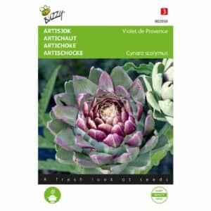 Buzzy® Artichoke Violet De Provence