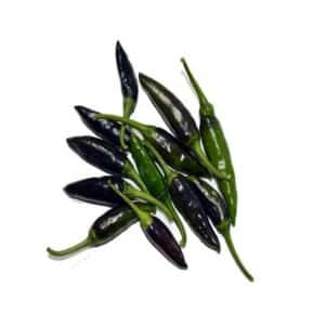 Peperone Piccante Fuoco Nero in Pot 16cm