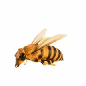 Bee Figurine