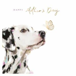 MD Greeting Card - Happy Mother's Day Dalmation